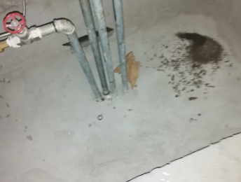 荥阳卫生间测漏水价格明细